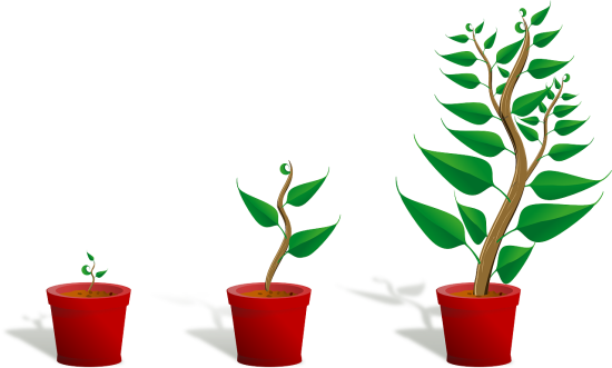 sapling-154734_1280 three red pots with green plants in them